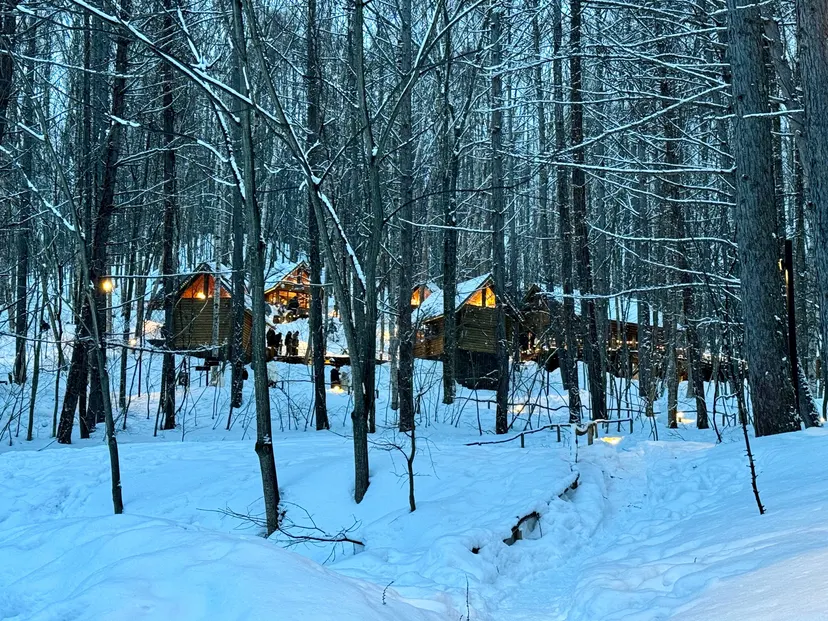 Niseko & Hokkaido — Ski chalets & hotels